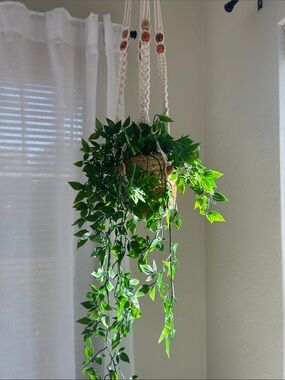 Macramé Hanging Planter with Lush Green Trailing Vines